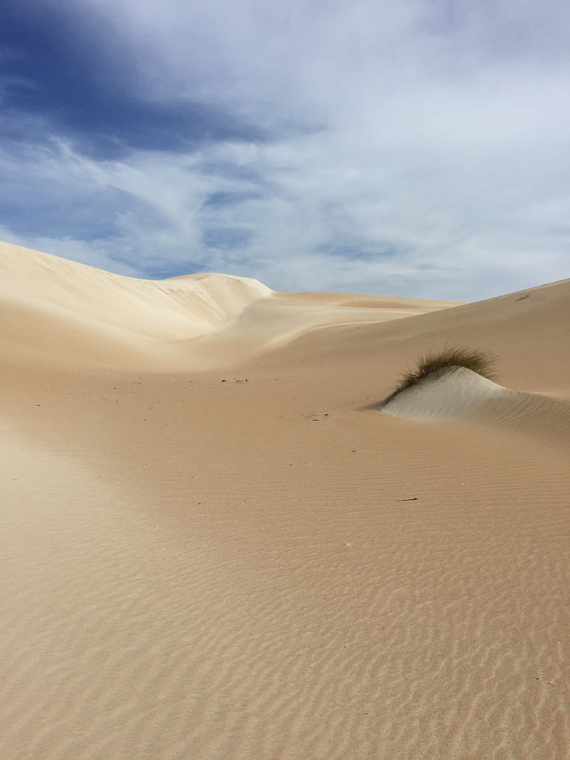Illustration for article titled Playing In The Sand...